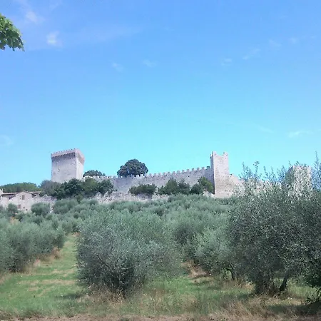 Trasimeno Bittarelli