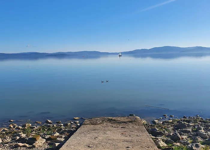 Hotel Trasimeno Bittarelli